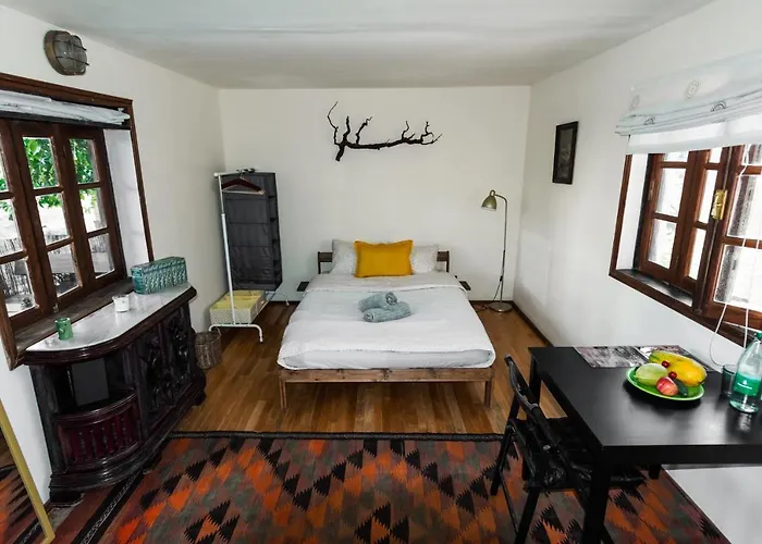 Conejos * Santa Cruz de Tenerife