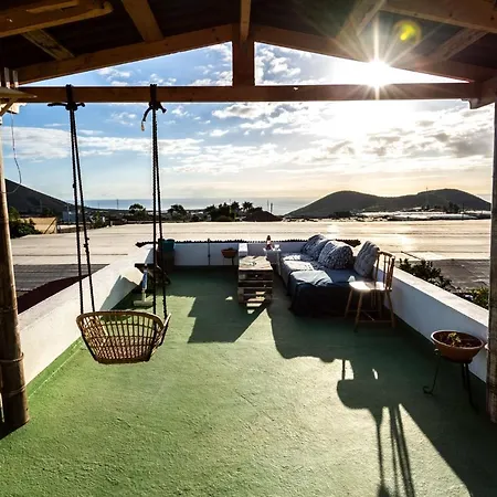 Conejos Santa Cruz de Tenerife