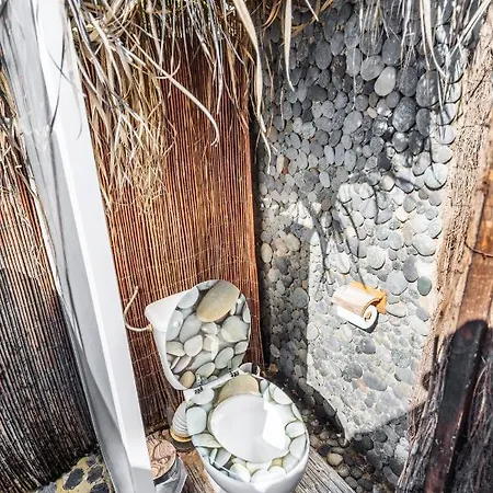 Conejos * Santa Cruz de Tenerife