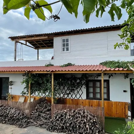 Conejos Santa-Cruz de Ténérife