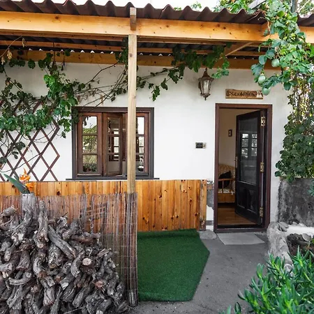 Conejos Gospodarstwo agroturystyczne Santa Cruz de Tenerife