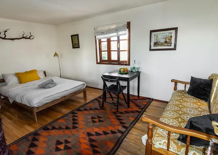 Conejos Santa Cruz de Tenerife