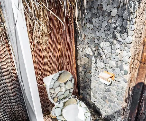 Conejos * Santa Cruz de Tenerife