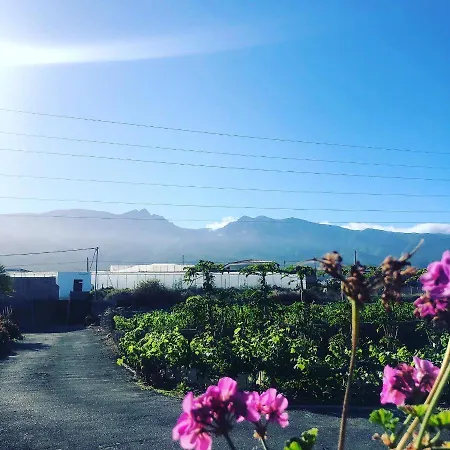 Conejos ファームステイ *