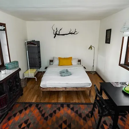 Conejos * サンタクルスデテネリフェ