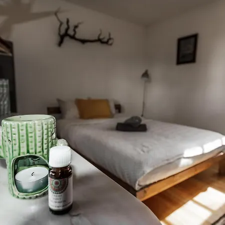 Conejos ファームステイ サンタクルスデテネリフェ