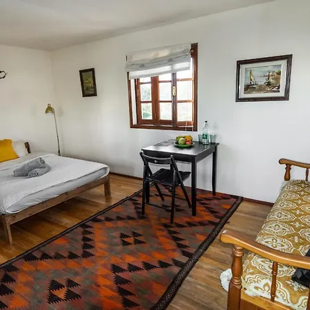 Conejos サンタクルスデテネリフェ