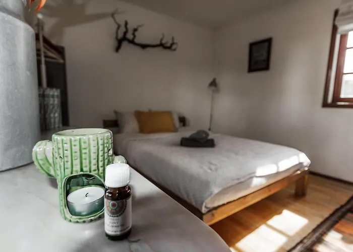 Conejos 农家乐 圣克鲁斯-德特内里费