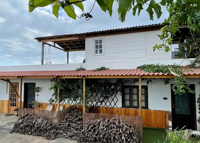 Conejos 圣克鲁斯-德特内里费